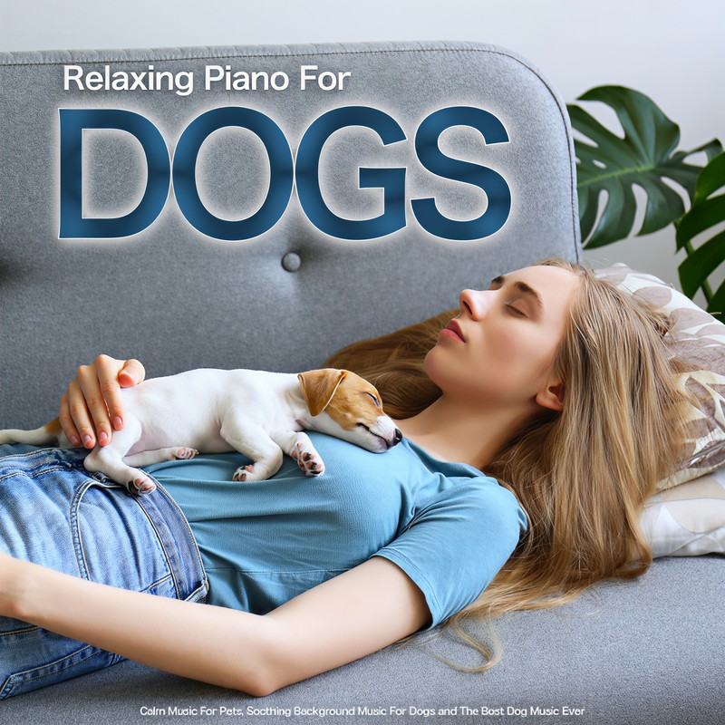 DogMusicForPets封面