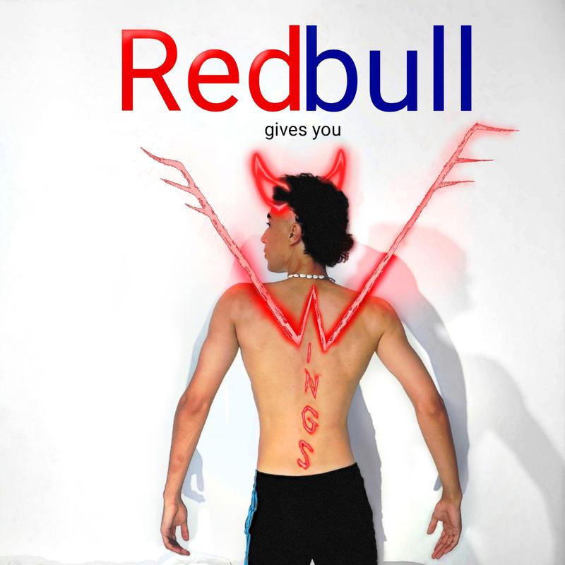 RedbullgivesyouWings封面