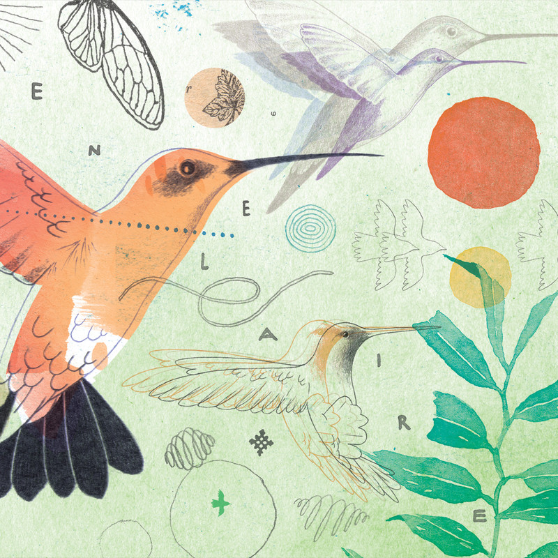 Rumbera封面