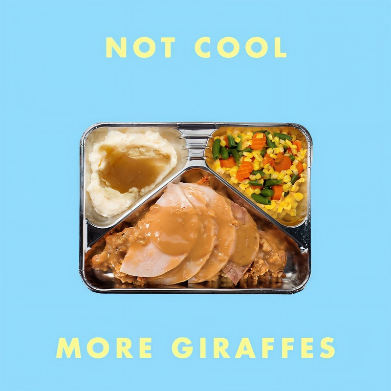 NotCool封面