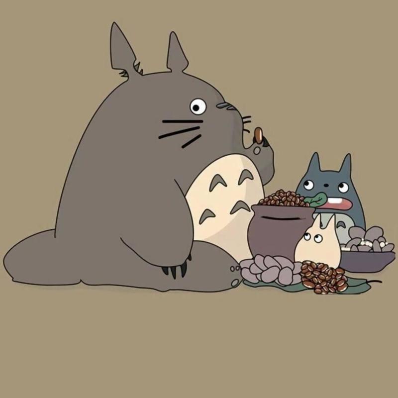 安和桥封面