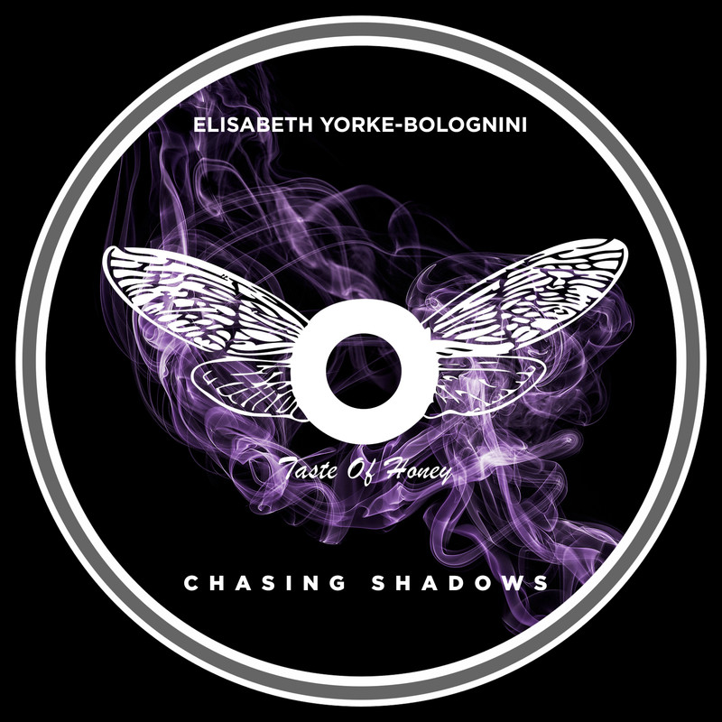 ChasingShadows封面