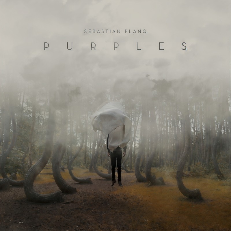 Purples封面