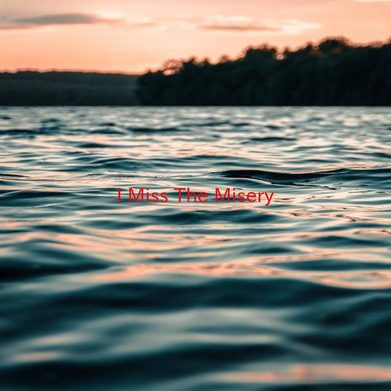 IMissTheMisery封面