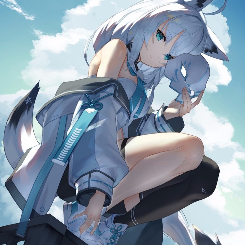 Pass封面