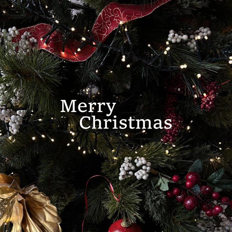 ScentedLightsofChristmas封面