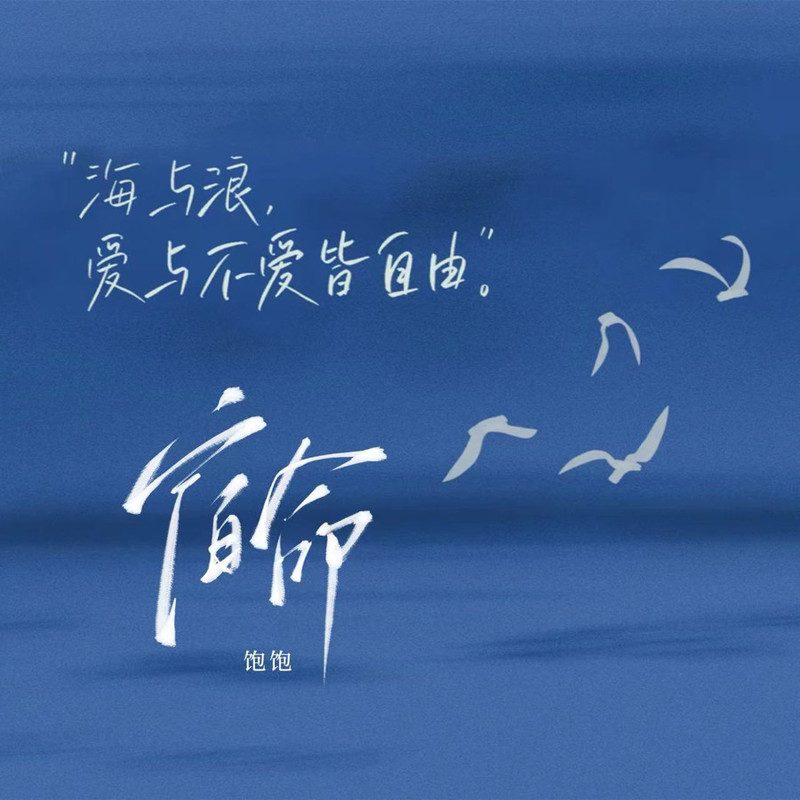 宿命封面