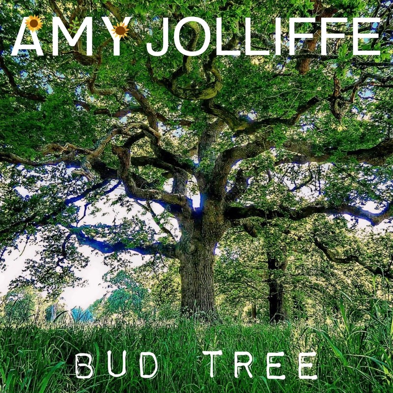 BudTree封面