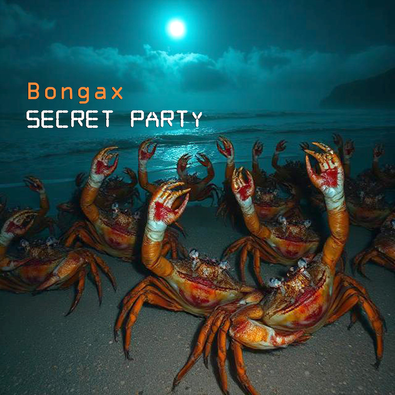SecretParty封面