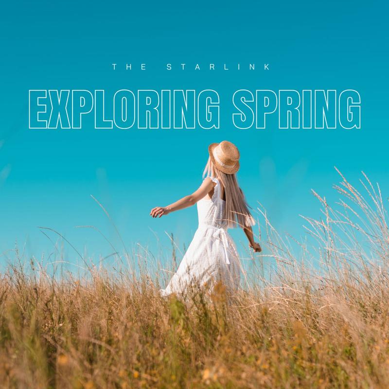 ExploringSpring封面
