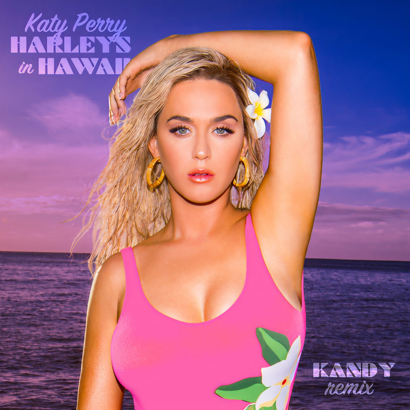 HarleysInHawaii封面