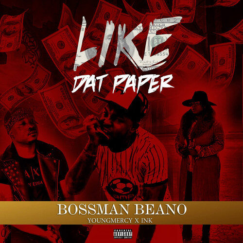 LikeDatPaper封面