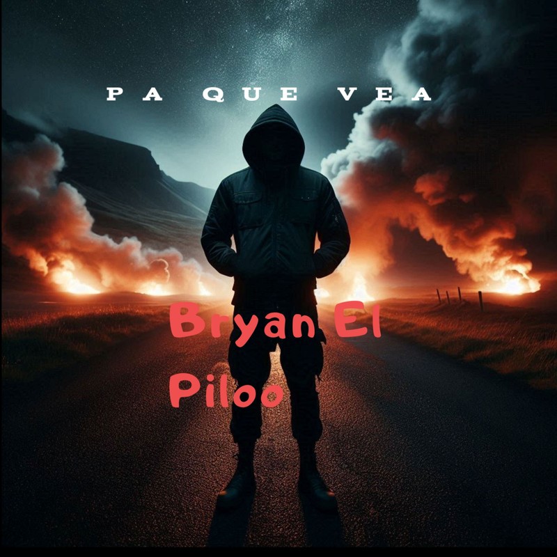 plapla封面