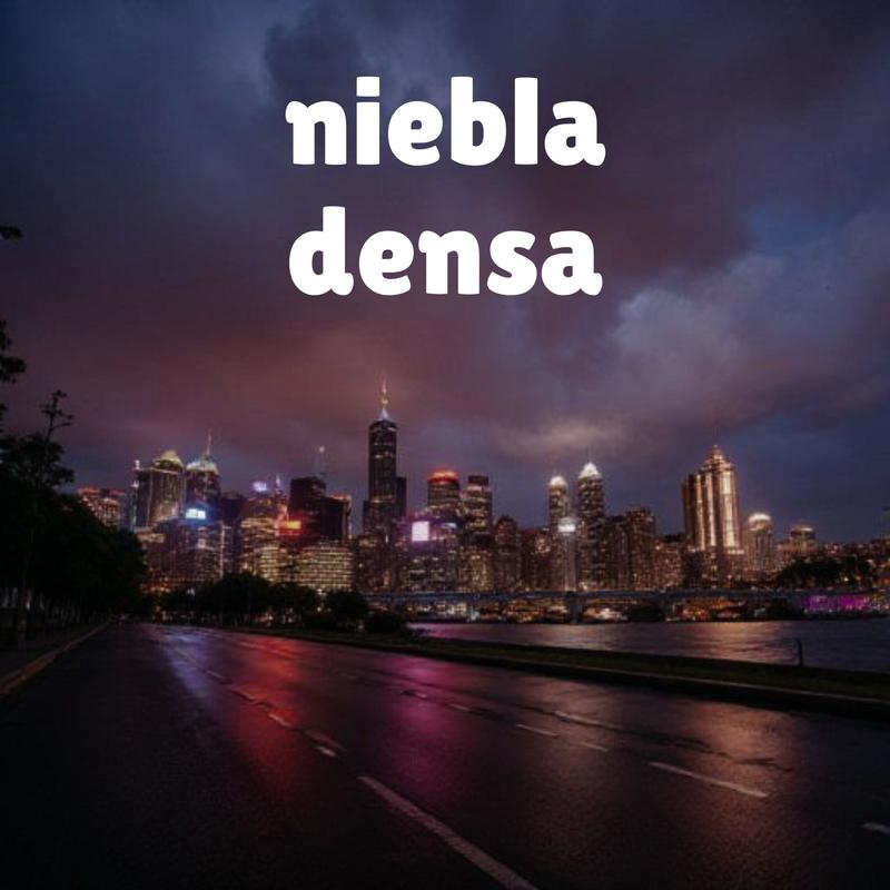 NIEBLADENSA封面