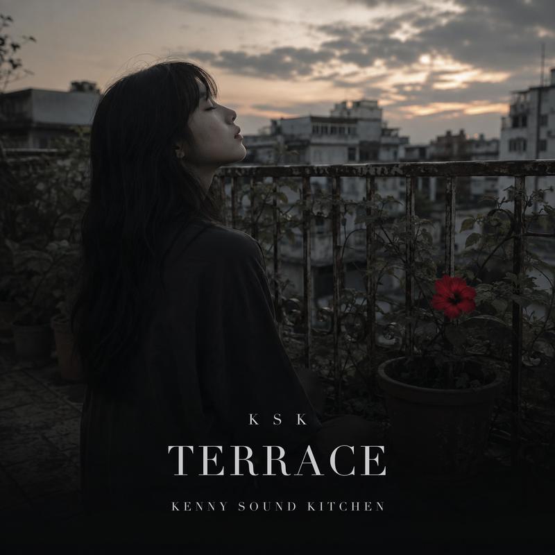 Terrace封面