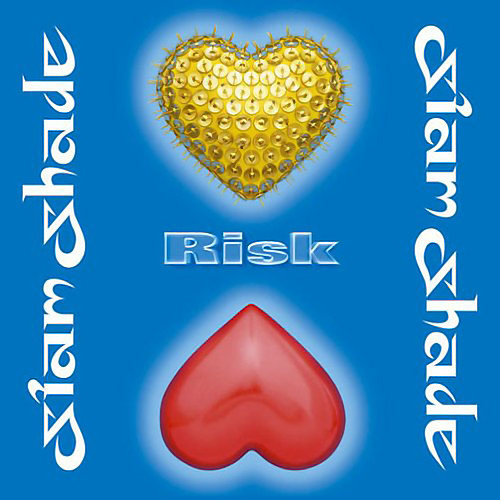 RISK封面