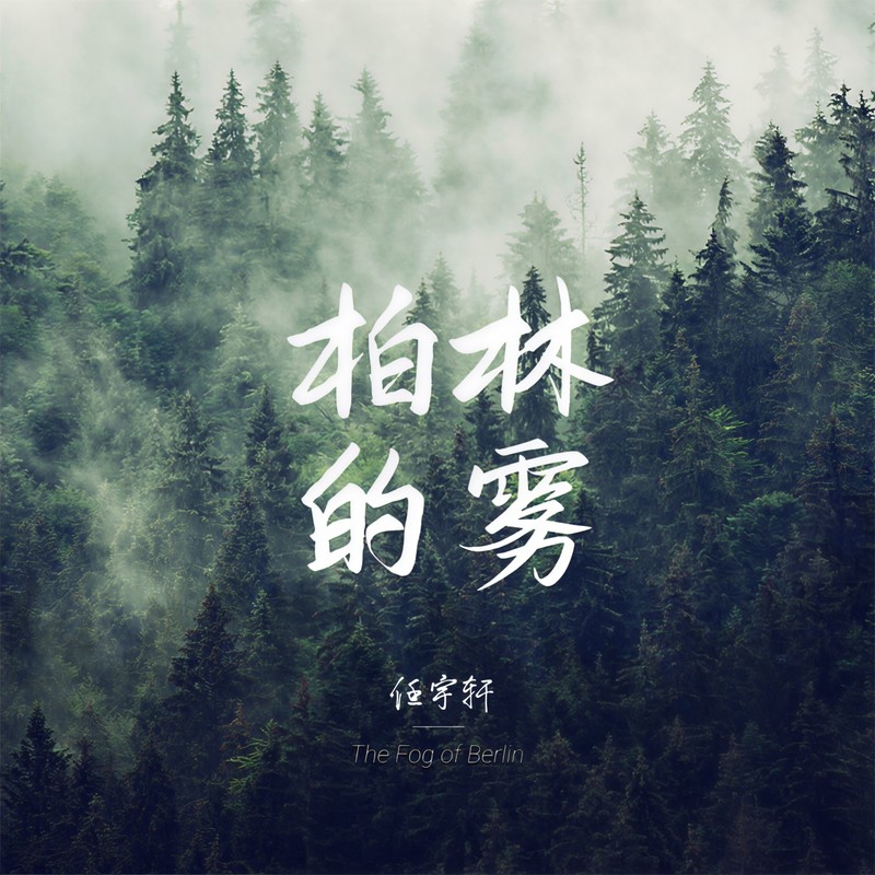 柏林的雾封面
