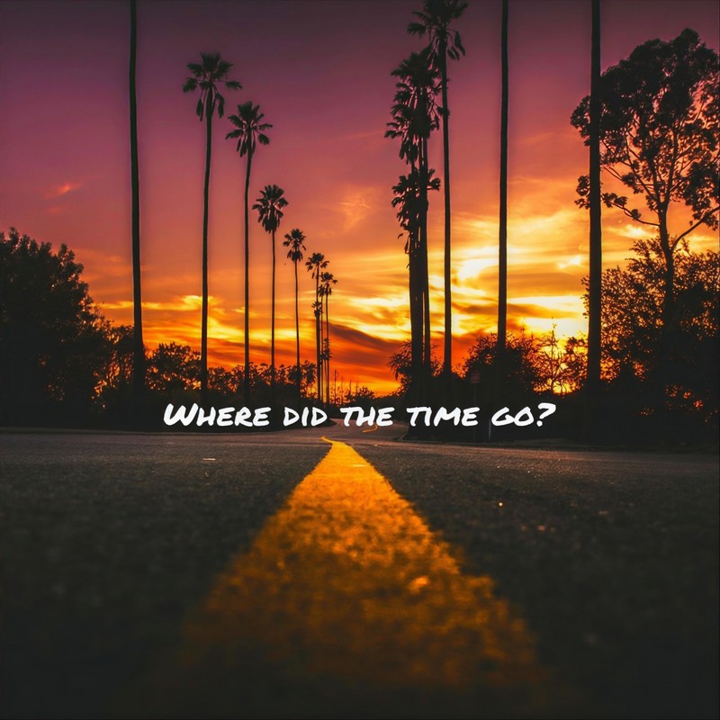 WhereDidtheTimeGo封面