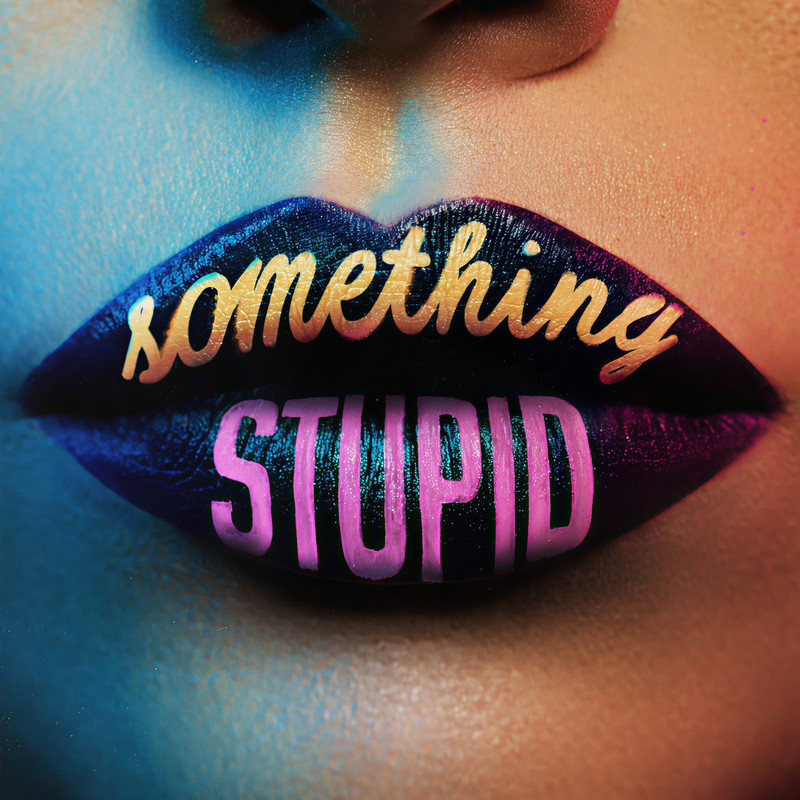 SomethingStupid封面