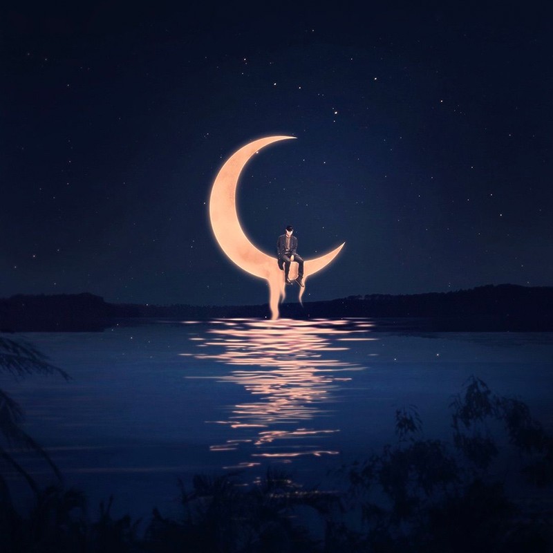 CALM封面