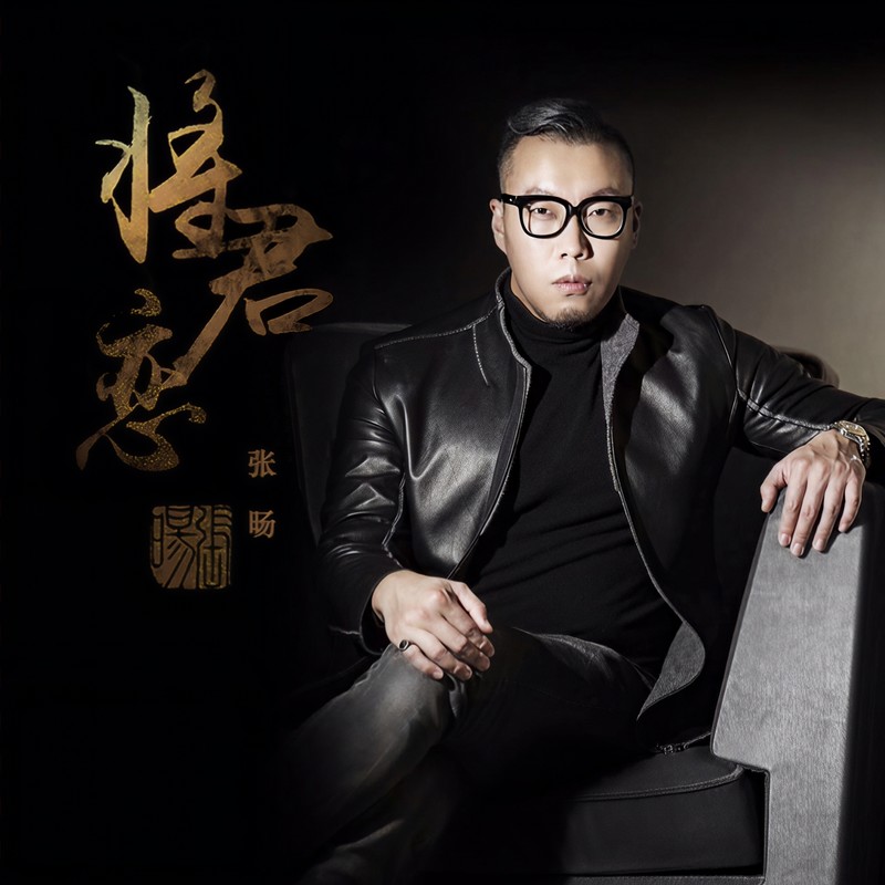 将•君恋封面