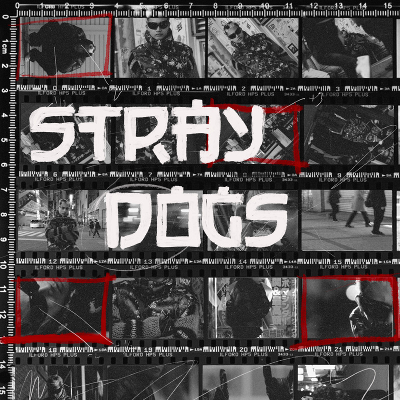 STRAYDOGS封面