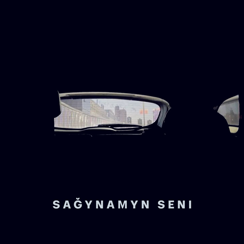 SağynamynSeni封面