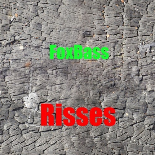 Risses封面