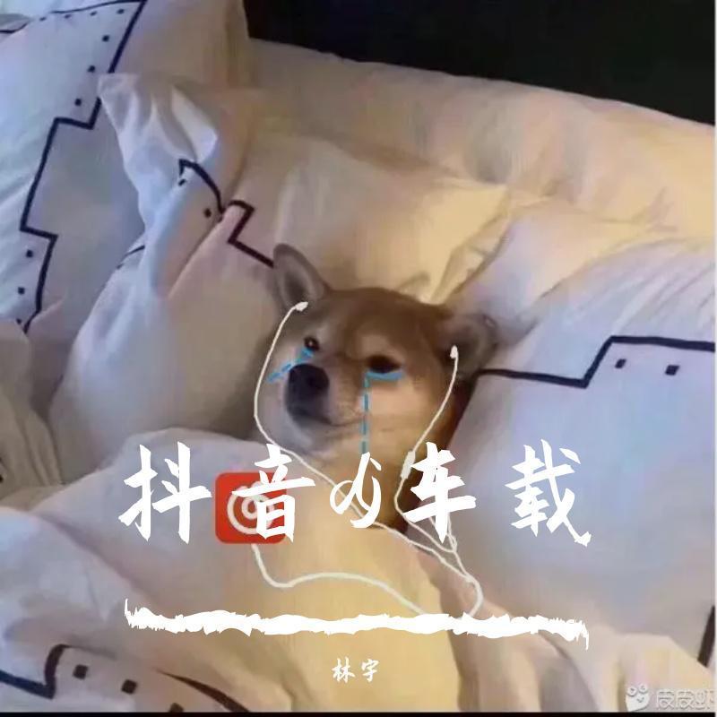 得到你的人却得不到你的心封面