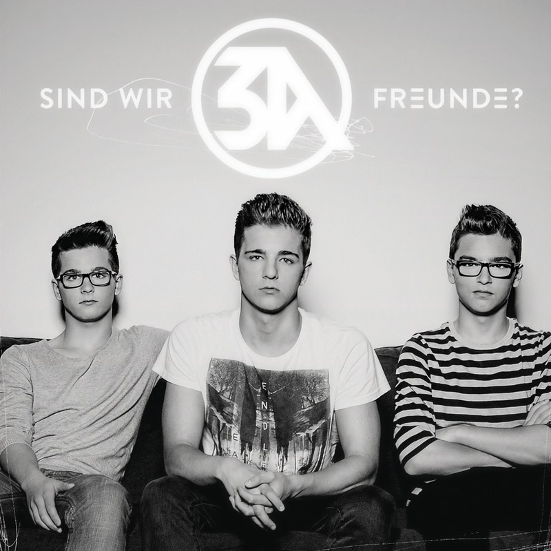 SindwirFreunde封面