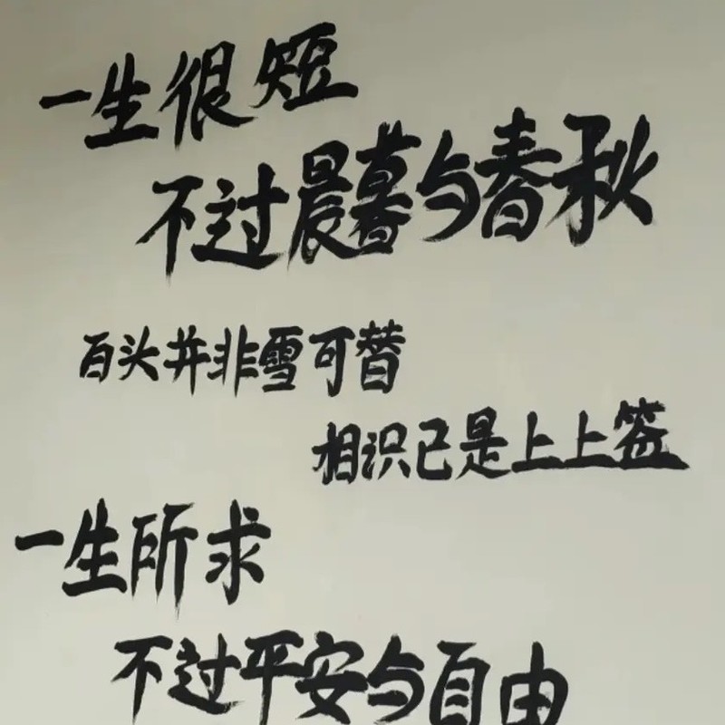 迷雾封面