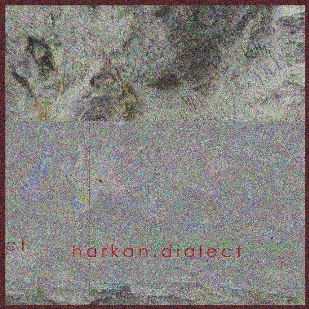 Dialect(Duplicated)封面