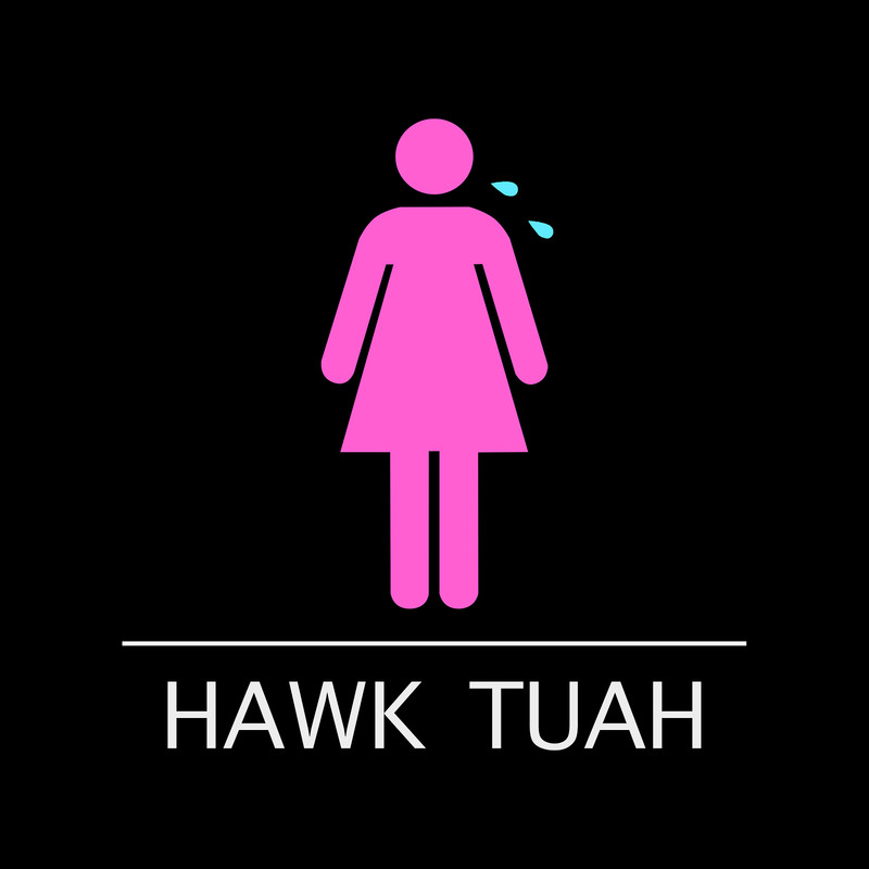 HawkTuah封面
