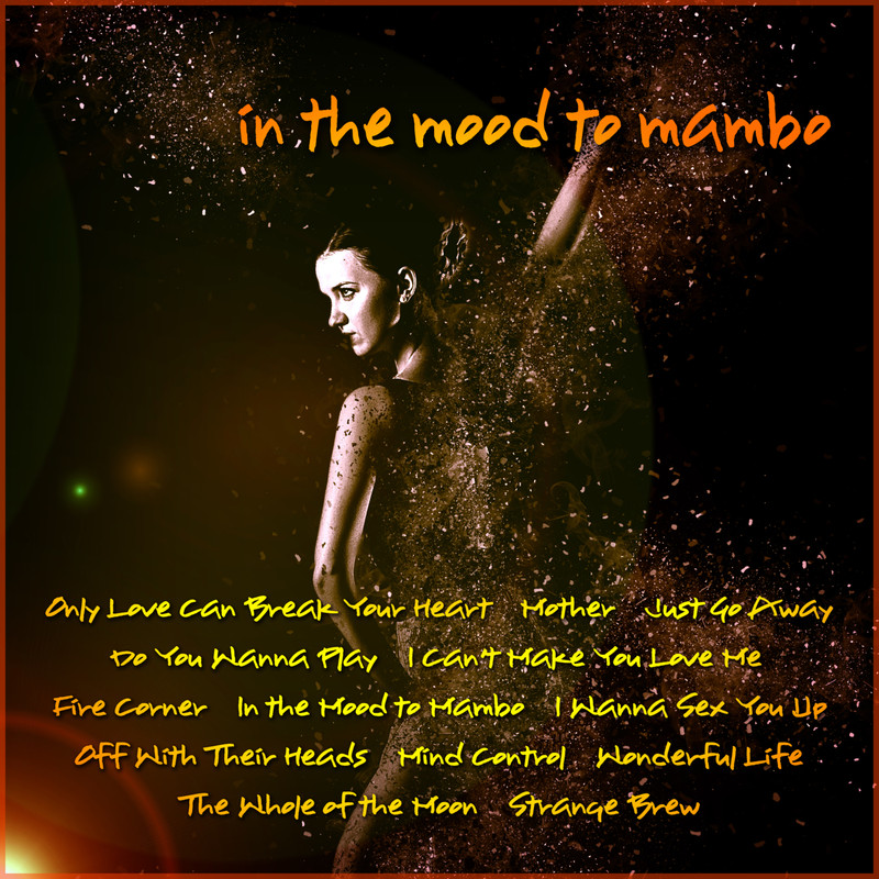 TheWholeoftheMoon封面