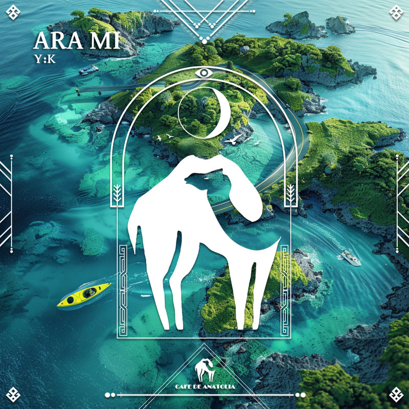AraMi封面