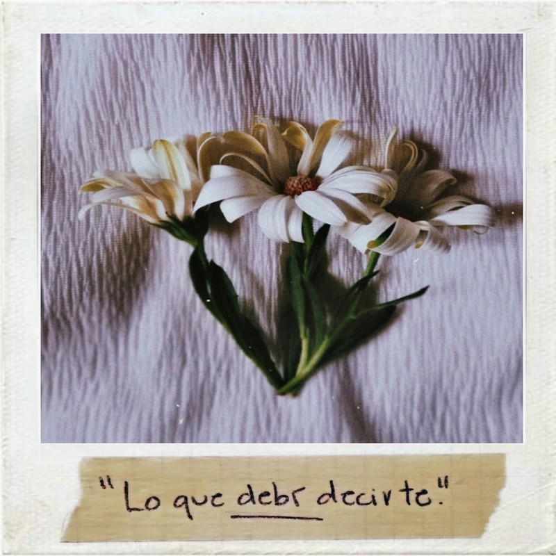 LoQueDebíDecirte封面