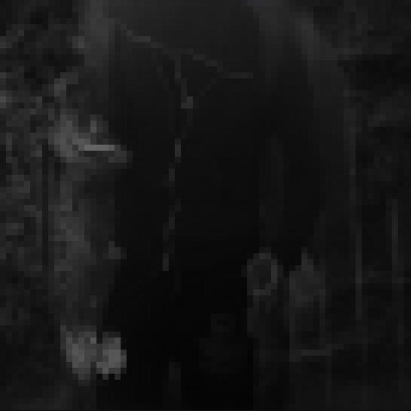 Rapture(feat.DiceTrim)封面