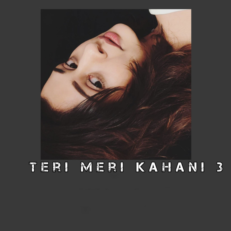 TeriMeriKahani3封面