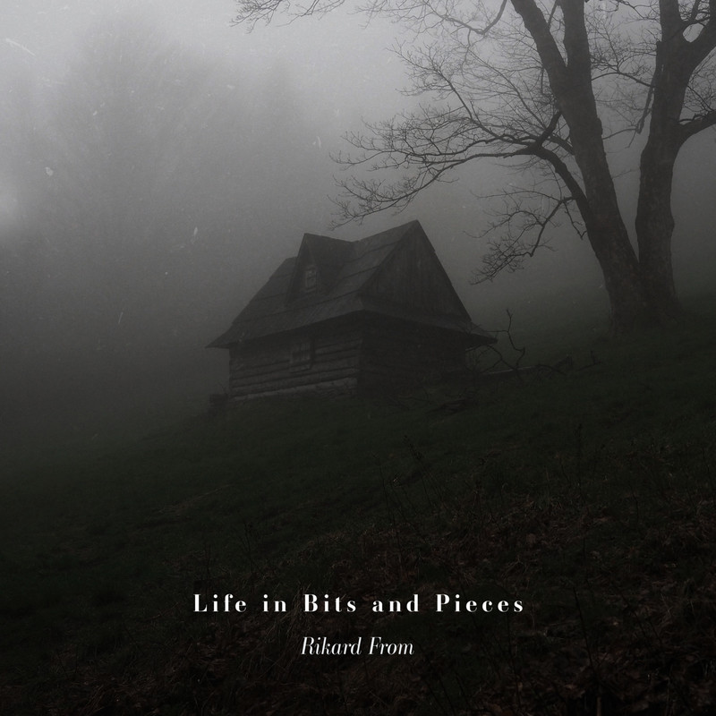 LifeinBitsandPieces封面