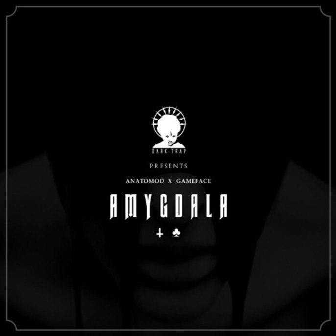 AMYGDALA封面
