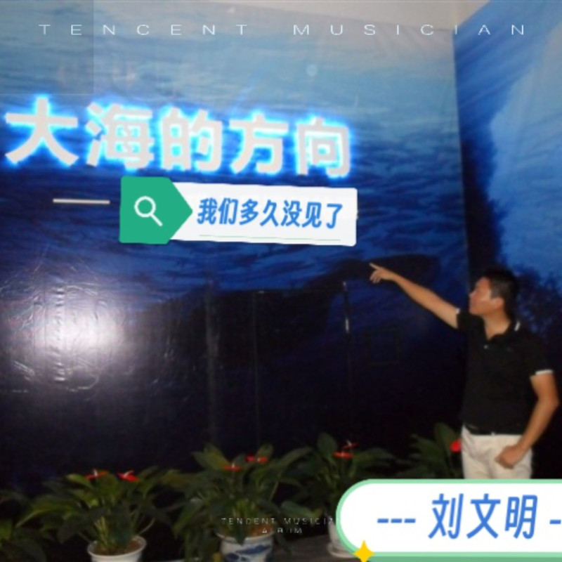 笨笨封面