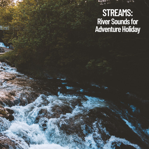 StrongRapidStream封面