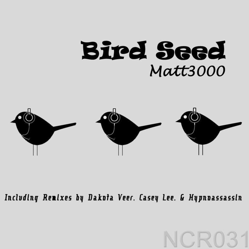 BirdSeed封面