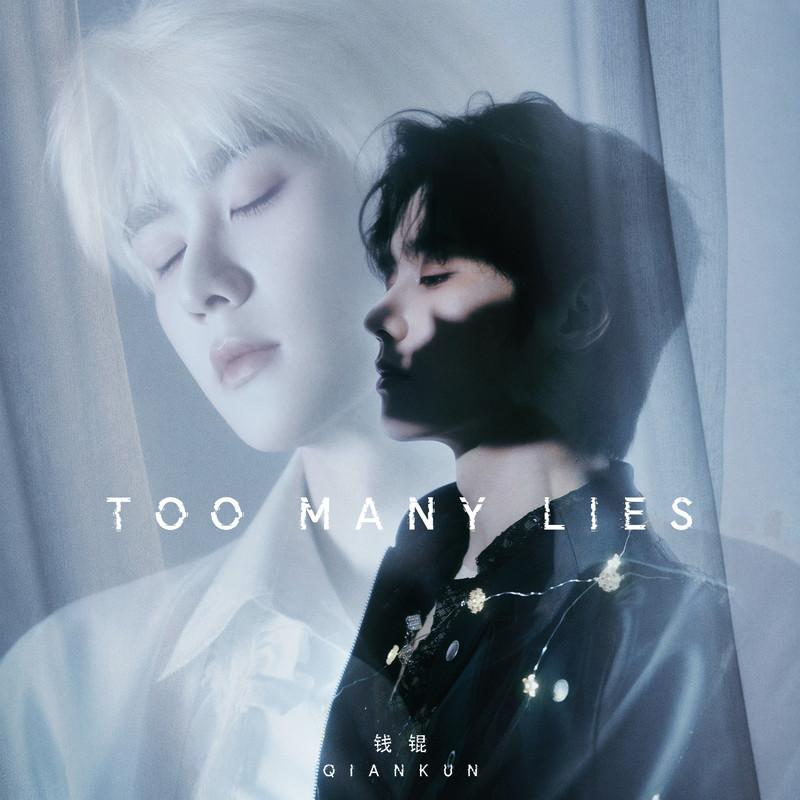 TooManyLies封面