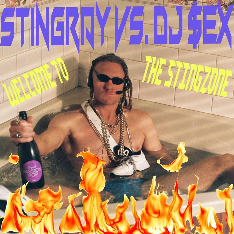 WelcometotheStingzone封面