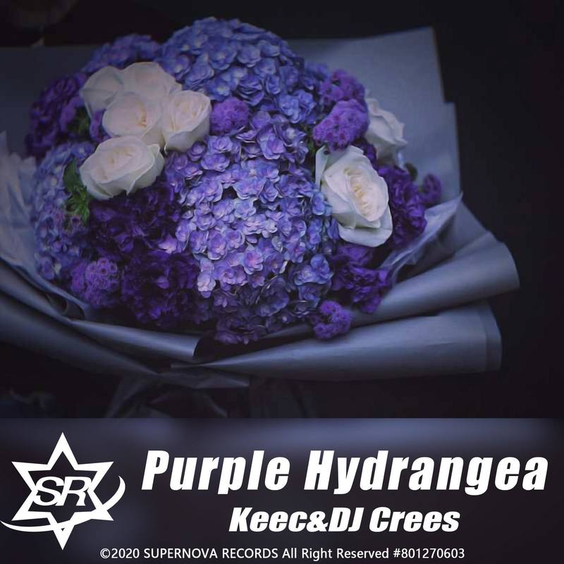 PurpleHydrangea封面