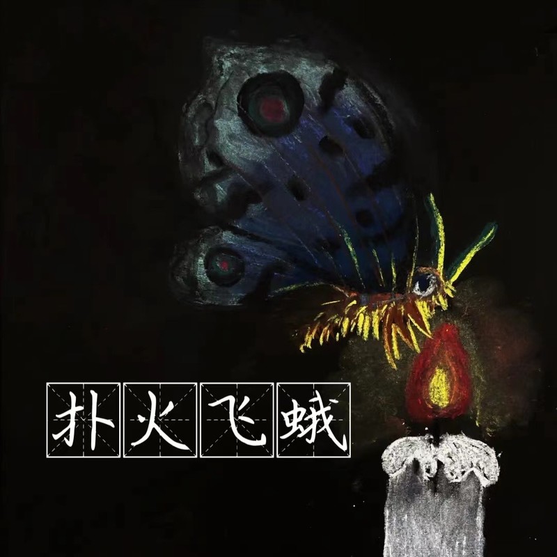 扑火飞蛾封面