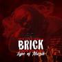 If U Ain't Seen a Brick This Ain't Yo Type of Muzik