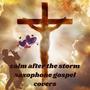 Calm After the Storm Saxophone Gospel Covers