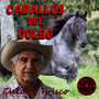 Caballos del Coleo